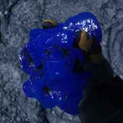 Marktitem Bild