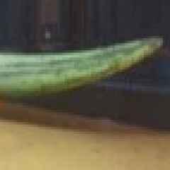 Marktitem Bild