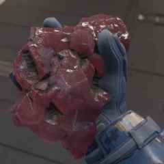 Marktitem Bild